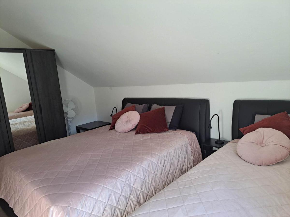 Apartmaji Tisa In Zana Rovte Экстерьер фото